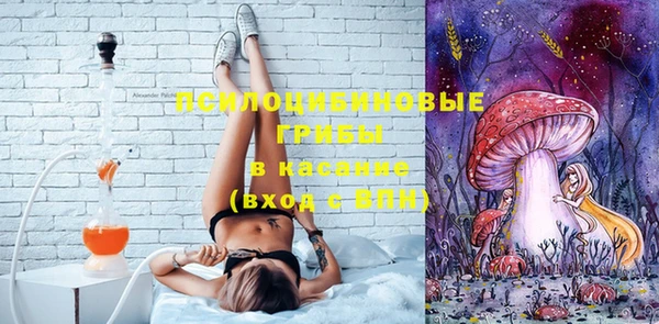 бошки Богородицк