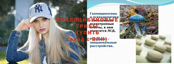 бошки Богородицк
